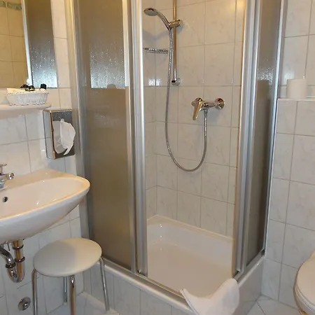 Business-hotel Stockinger Szálloda Ansfelden