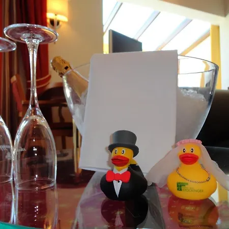 Business-hotel Stockinger Ansfelden