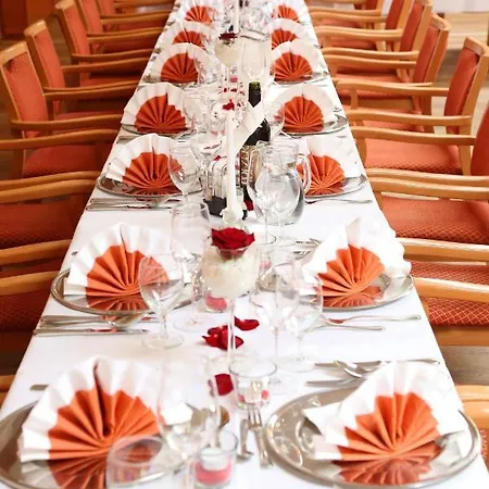 Business-hotel Stockinger Ansfelden